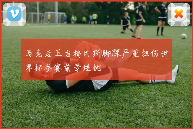 马竞后卫吉梅内斯脚踝严重扭伤世界杯参赛前景堪忧